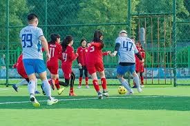 陈金锋在美职生涯虽多在小联盟，但其对台湾棒球的国际化贡献卓越