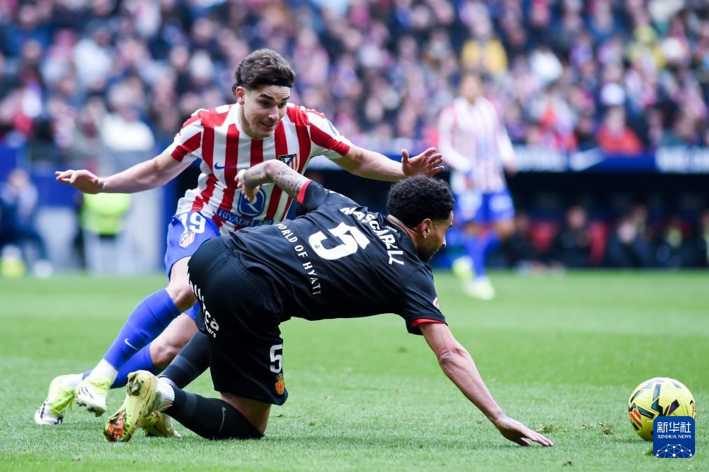 综合体育新闻实时更新平台 聚合足球篮球网球等多项目资讯